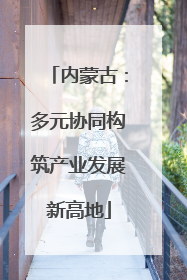 内蒙古：多元协同构筑产业发展新高地